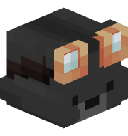 Axel433