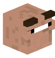 WingDude_23