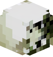 Aktus1_1