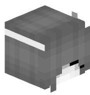 Shadow_N01