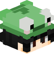StellinaTMBTS