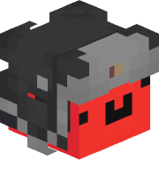 kieszonkaa