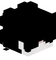 vv6n