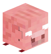 PunchyPig567303