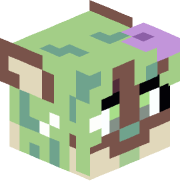 KiwiDrone