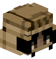 ip_stealer