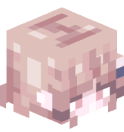 seal_lover_lol