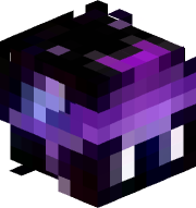 zzZewdie