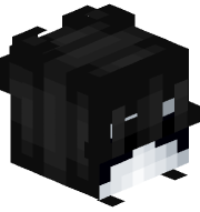SkyGuy_ProPlayer