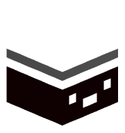 Quantic_slm