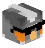 _ashyign