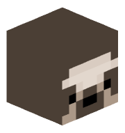 Minecraftingcoo