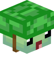 qqer_