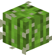 BlooBerry11