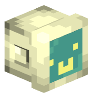 soga_dolphin