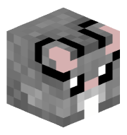 _L11