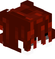 its_raytasMC