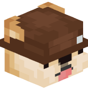 dogecoinreportme