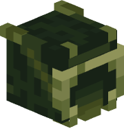 ZenixXXXXXX