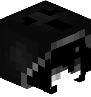 Aentiastacrix