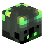 Echovenum