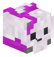 baw_nn