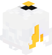 player profile picture