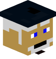 FR4NS9803