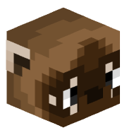 coati__
