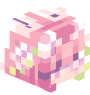 WiKY_