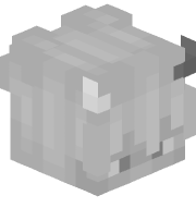 localhost5050