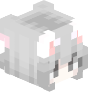 IDontGiveAPhonk
