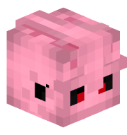 bobsontheturtal