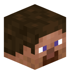 67x2 Minecraft skin