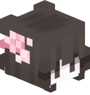 ConstantiamForEv