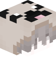 Noctyka