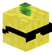 BiPixel_89