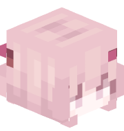 a9pF3kT2mQ8CbZ1x