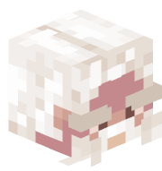 ZARK_