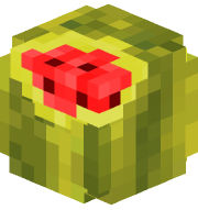 UmutluKarpuz