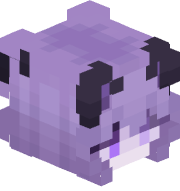 KroxiPoxi