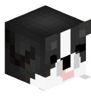 Mortalxie