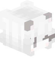 Bigtaipan74