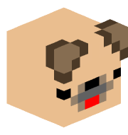 pug____________9