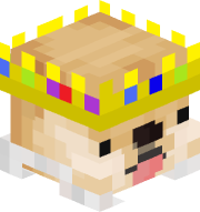 BestDogeKing