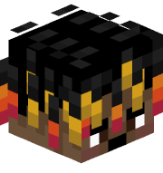 hopishop