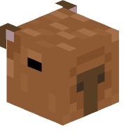aaragus