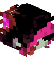 sourkitty