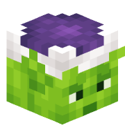 Cool_Djura