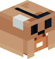 BURT117